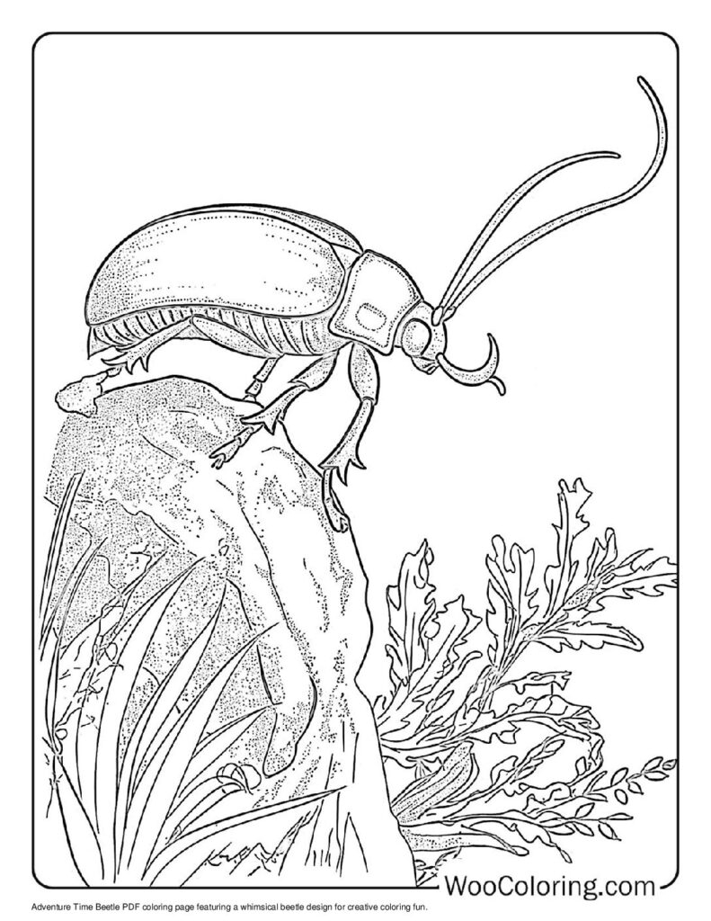 bug coloring pages