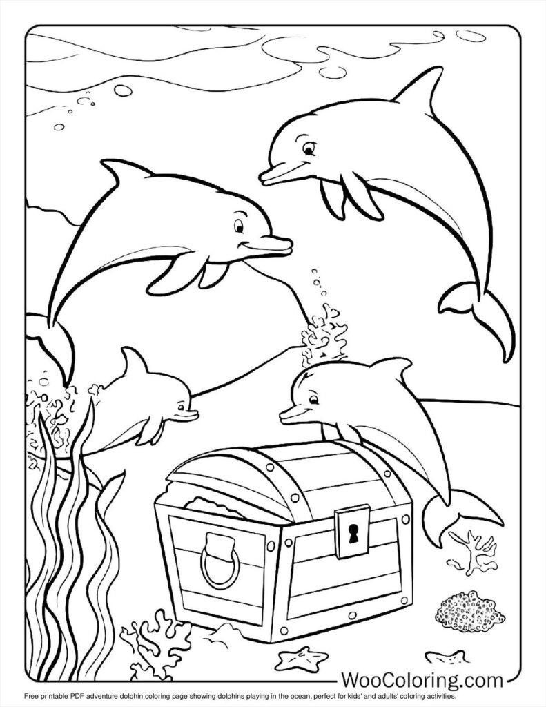 coloring pages for dolphins coloring pages for dolphins