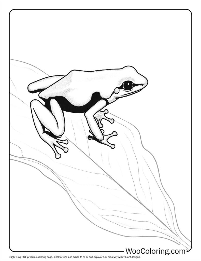 coloring book pages of frogs coloring book pages of frogs