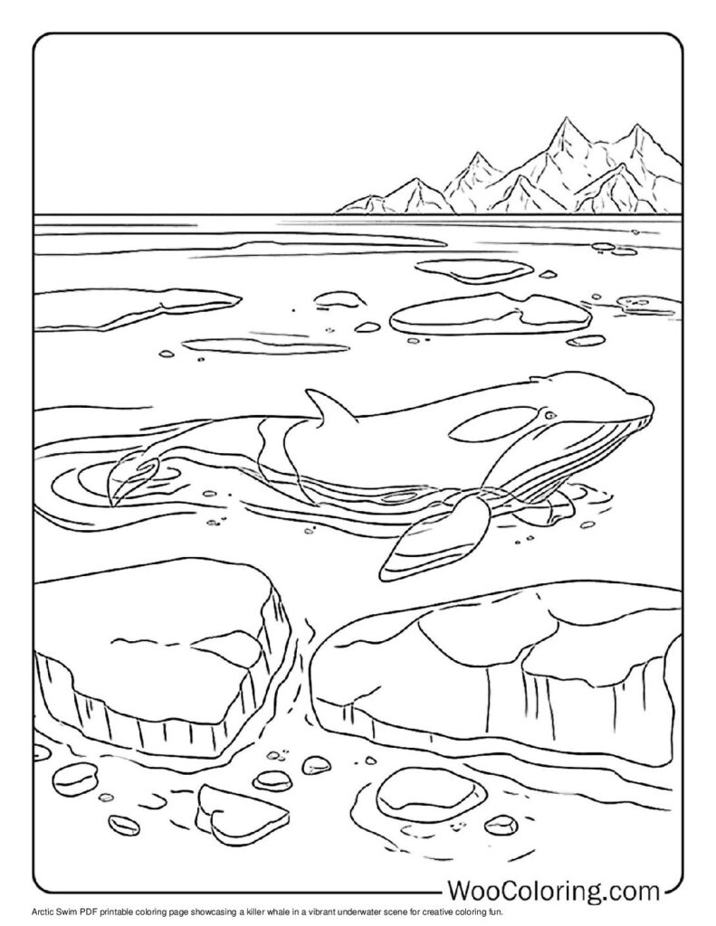 whale coloring pages
