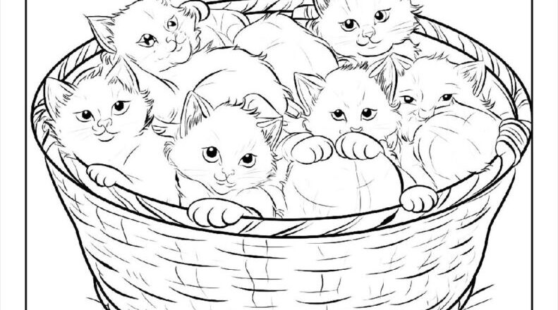 100 Kitten Coloring Pages Free PDF To Print Woo Coloring
