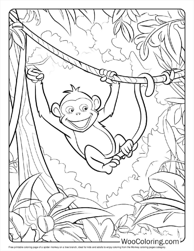 coloring monkey pages
