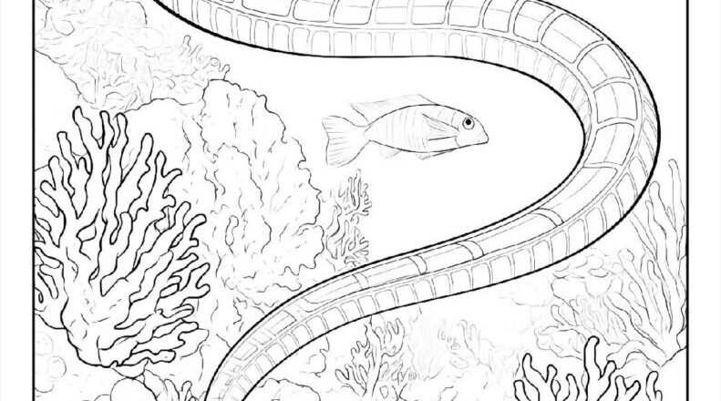 100 Snake Coloring Pages Free PDF To Print Woo Coloring