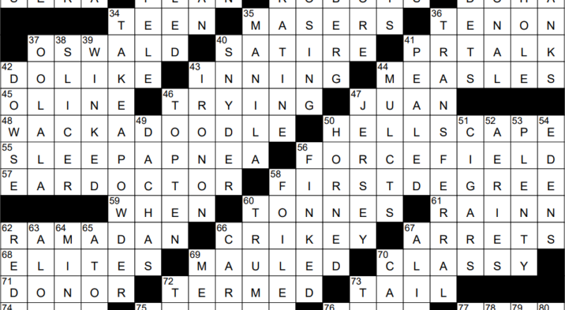 1203 23 NY Times Crossword 3 Dec 23 Sunday NYXCrossword