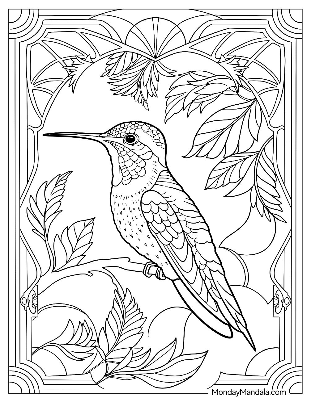 19 Hummingbird Coloring Pages Free PDF Printables 