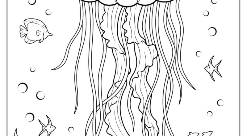 22 Jellyfish Coloring Pages Free PDF Printables