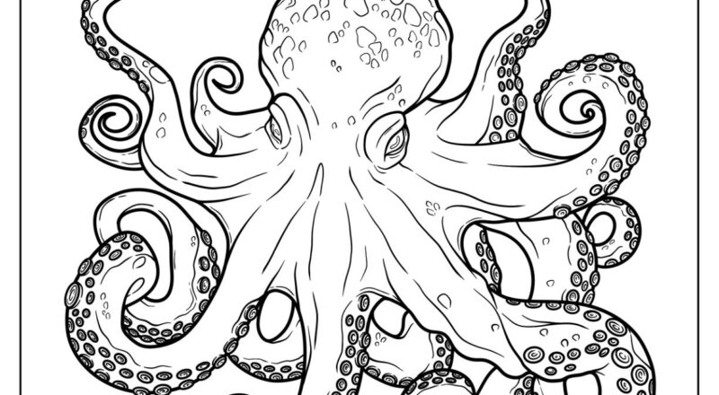 26 Octopus Coloring Pages Free PDF Printables