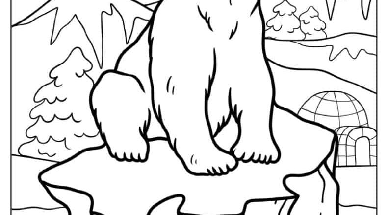 29 Polar Bear Coloring Pages Free PDF Printables