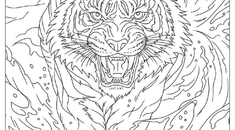 3 000 Adult Coloring Pages Free PDF To Print Woo Coloring