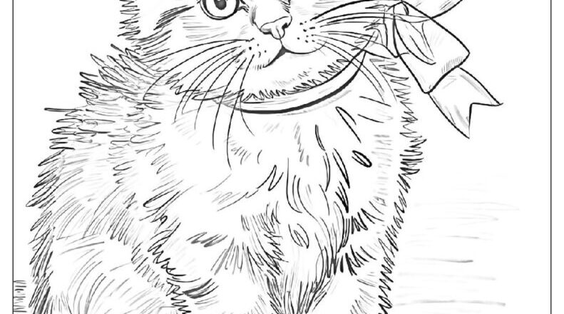 3 000 Adult Coloring Pages Free PDF To Print Woo Coloring