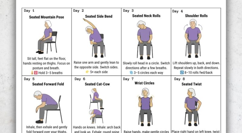 30 Day Chair Yoga For Seniors Challenge Chair Exercise Guide Printable Chair Workout Senior Home Workout Plan Digital Download PDF Etsy