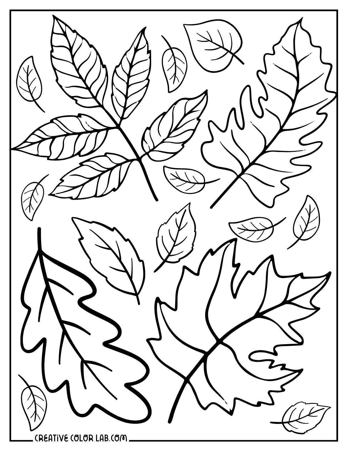 leaf coloring page