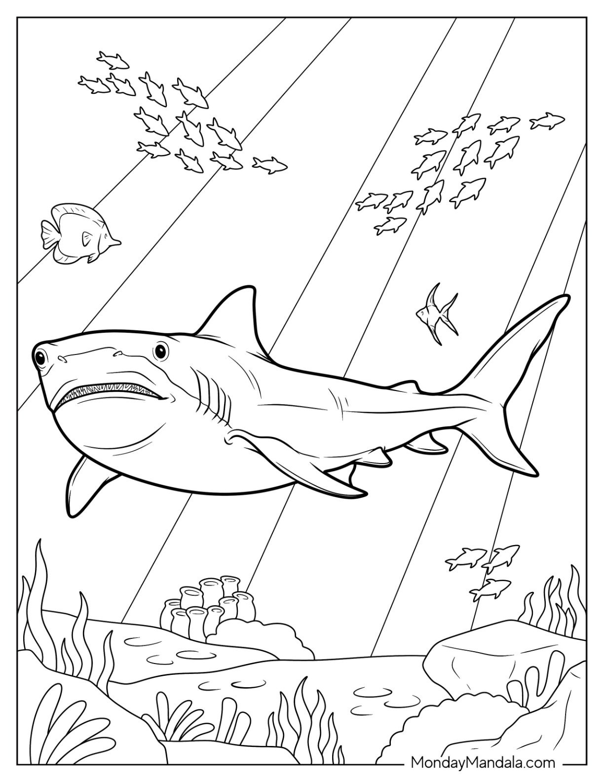 34 Shark Coloring Pages Free PDF Printables 