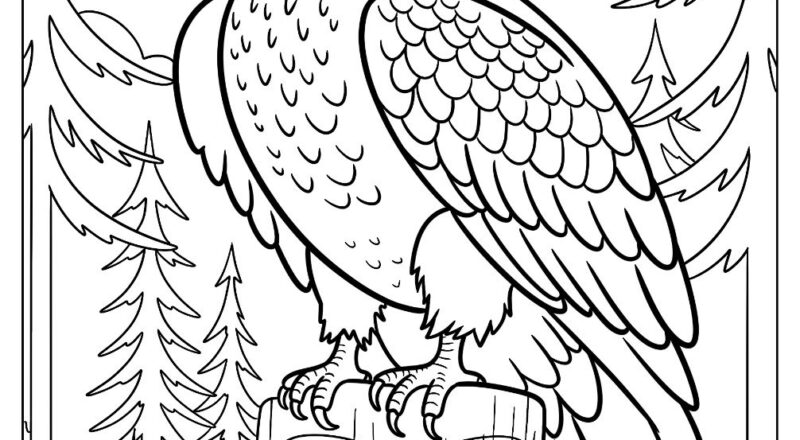 35 Bald Eagle Coloring Pages Free PDF Printables