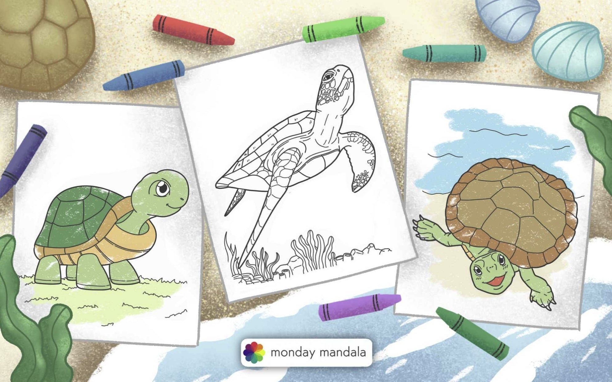 turtle coloring page turtle coloring page