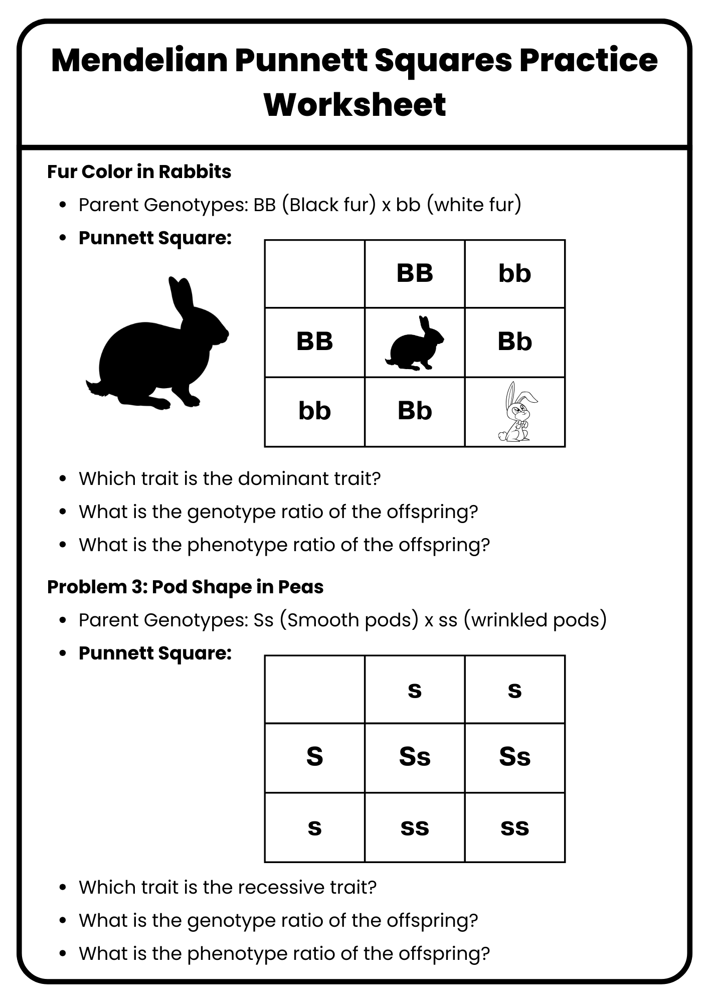 40 Punnett Square Practice Worksheet To Download In PDF 40 Punnett Square Practice Worksheet To Download In PDF