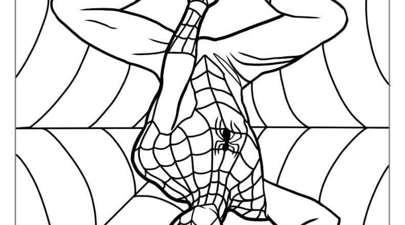 40 Spider Man Coloring Pages Free PDF Printables