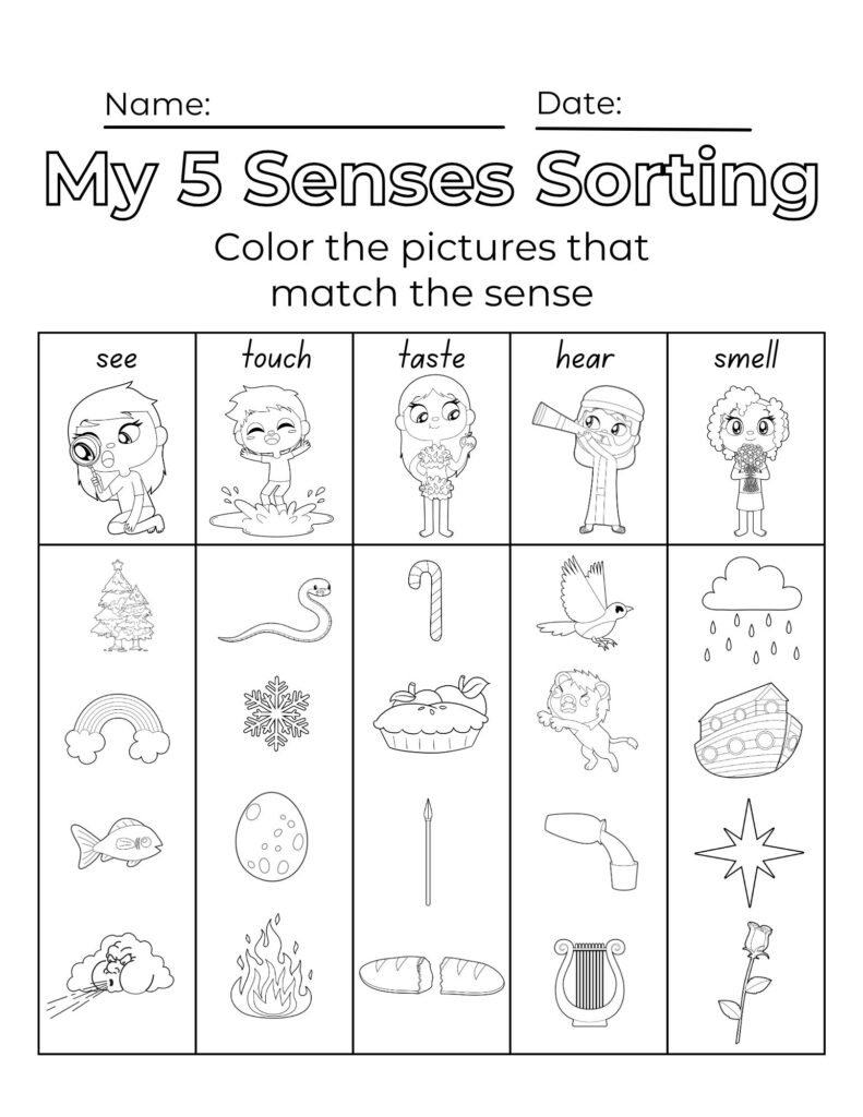 5 senses worksheets