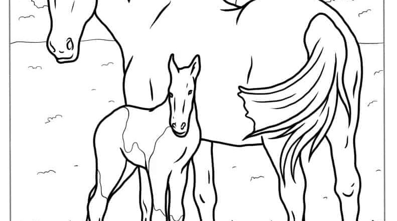 51 Horse Coloring Pages Free PDF Printables