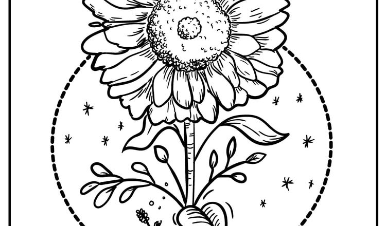52 Flower Coloring Pages Easy Free Printable PDFs For Kids