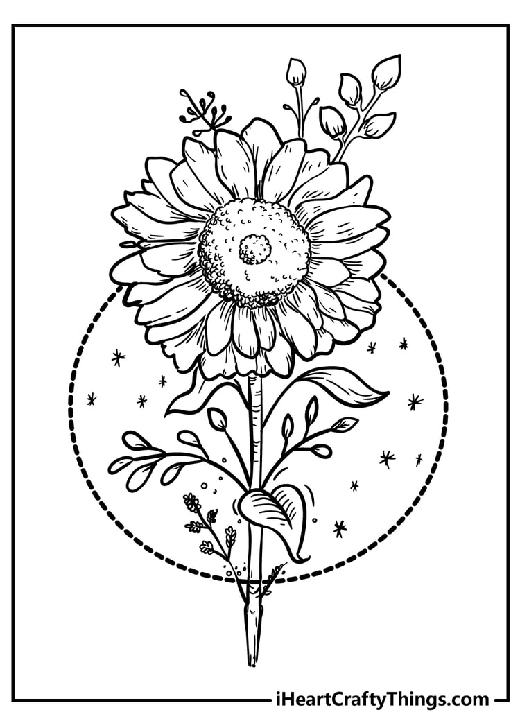 printable coloring pages of flowers
