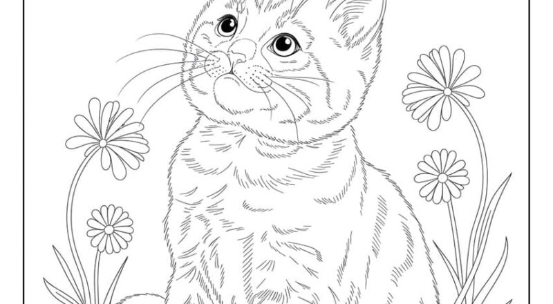 54 Cat Coloring Pages Free Printables For All Ages