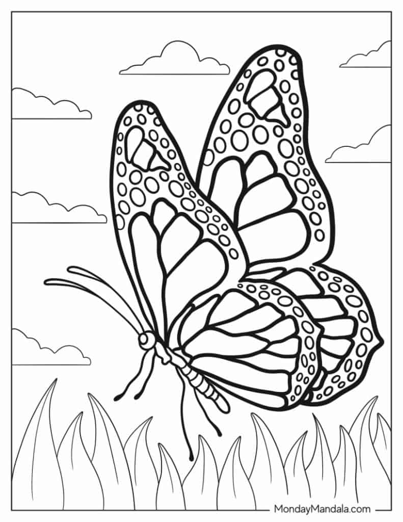 printable butterfly coloring sheets