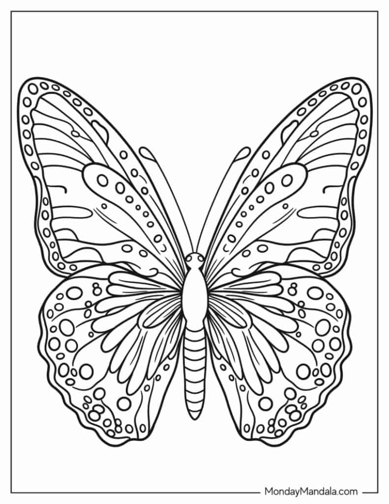 62 Butterfly Coloring Pages Free PDF Printables 62 Butterfly Coloring Pages Free PDF Printables