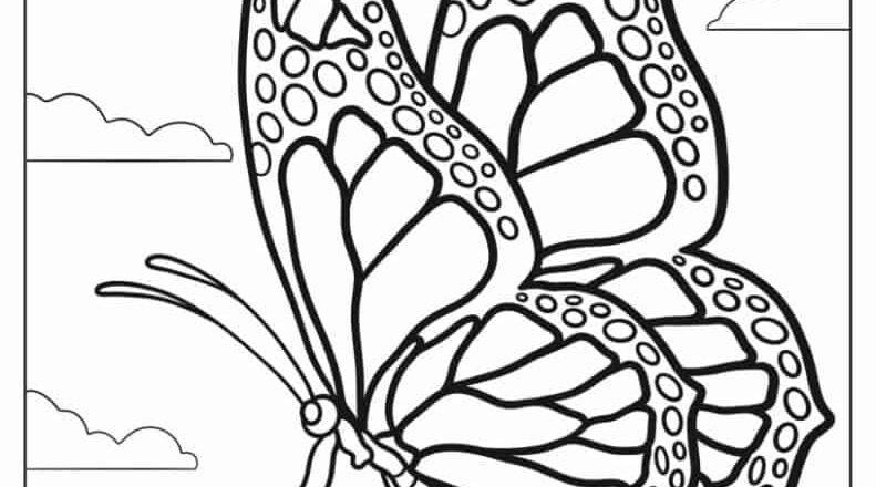 62 Butterfly Coloring Pages Free PDF Printables