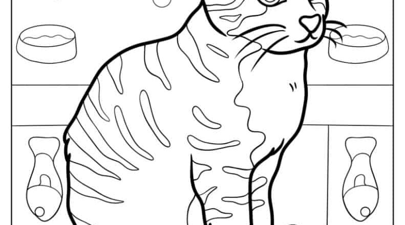 69 Cat Coloring Pages Free PDF Printables