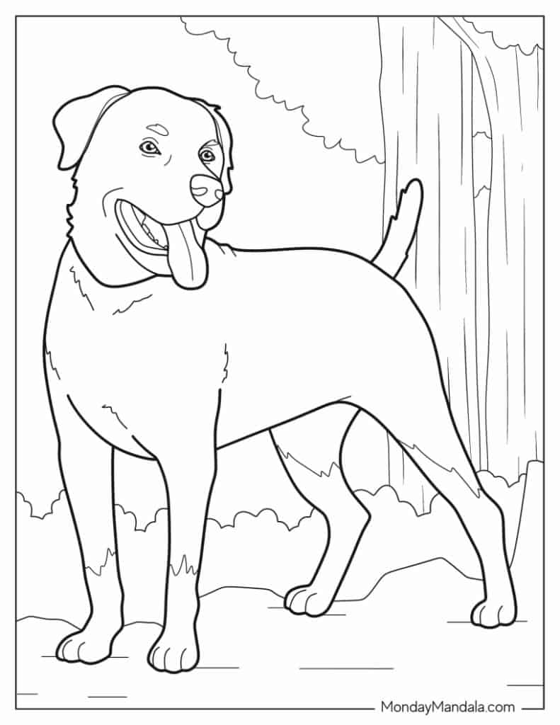 97 Dog Coloring Pages Free PDF Printables 97 Dog Coloring Pages Free PDF Printables