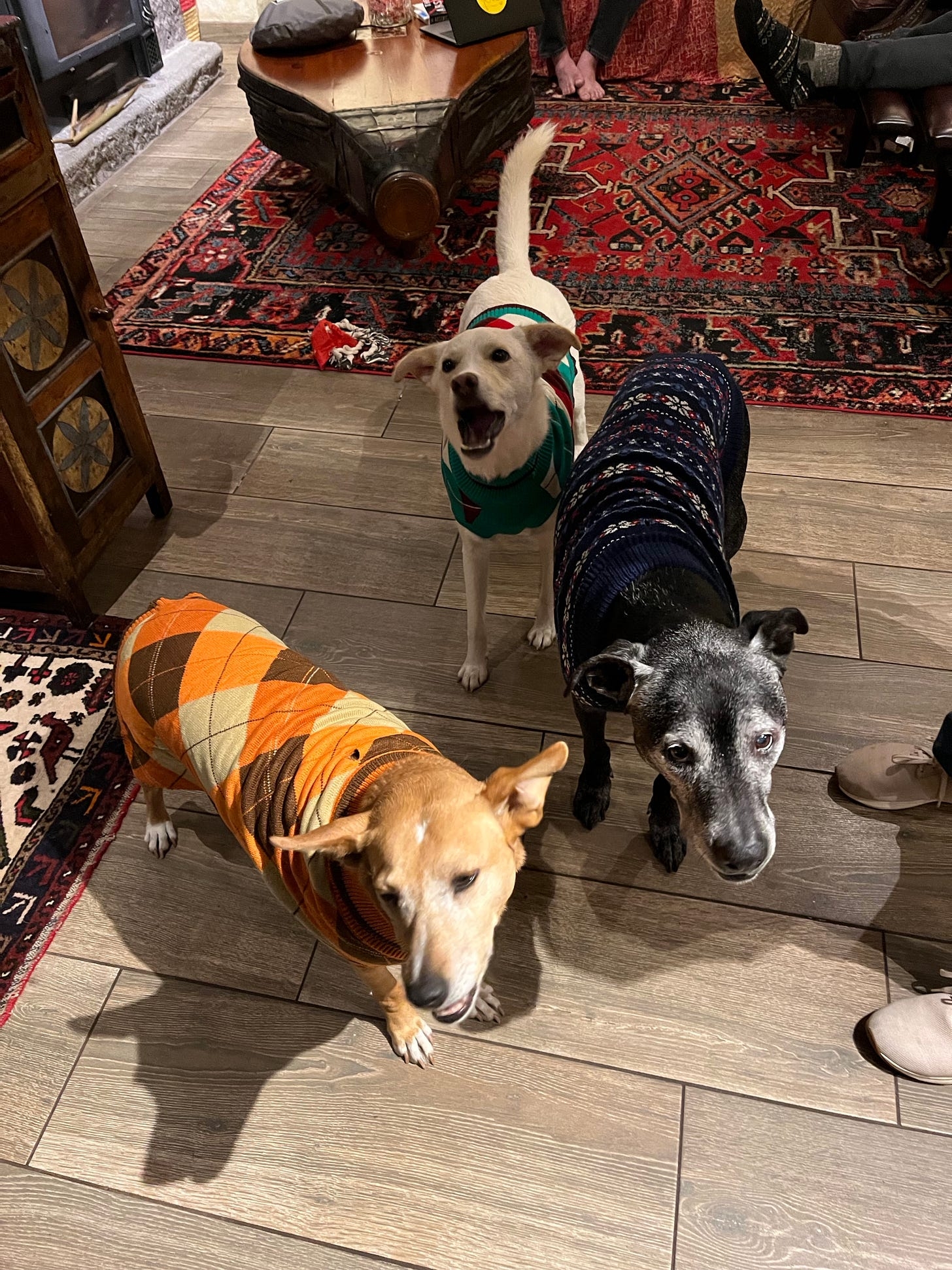 rough it in comfort crossword