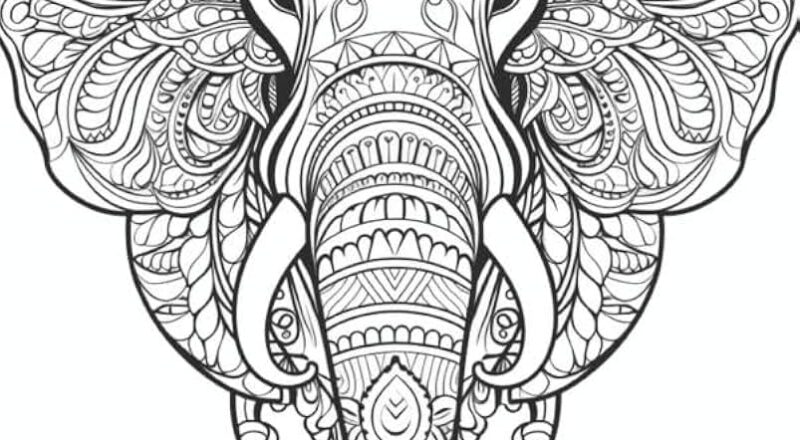 Amazon Mandala Elephants Coloring Pages For Adults Coloring Book For Adults Printable Stress Relief Anxiety Relief Gift Color Book Coloring Sheets Coloration I Intricate Mandala Patterns For Adults 9798867536794 Stonely Mr