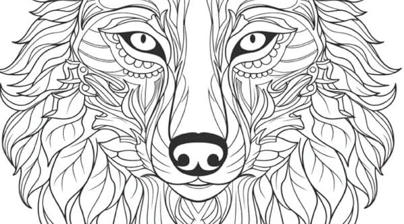 Amazon Mandala Wolves Coloring Pages For Adults Coloring Book For Adults Printable Stress Relief Anxiety Relief Gift Color Book Coloring Sheets Coloration By I Intricate Mandala Patterns For Adults 9798867452650 Stonely