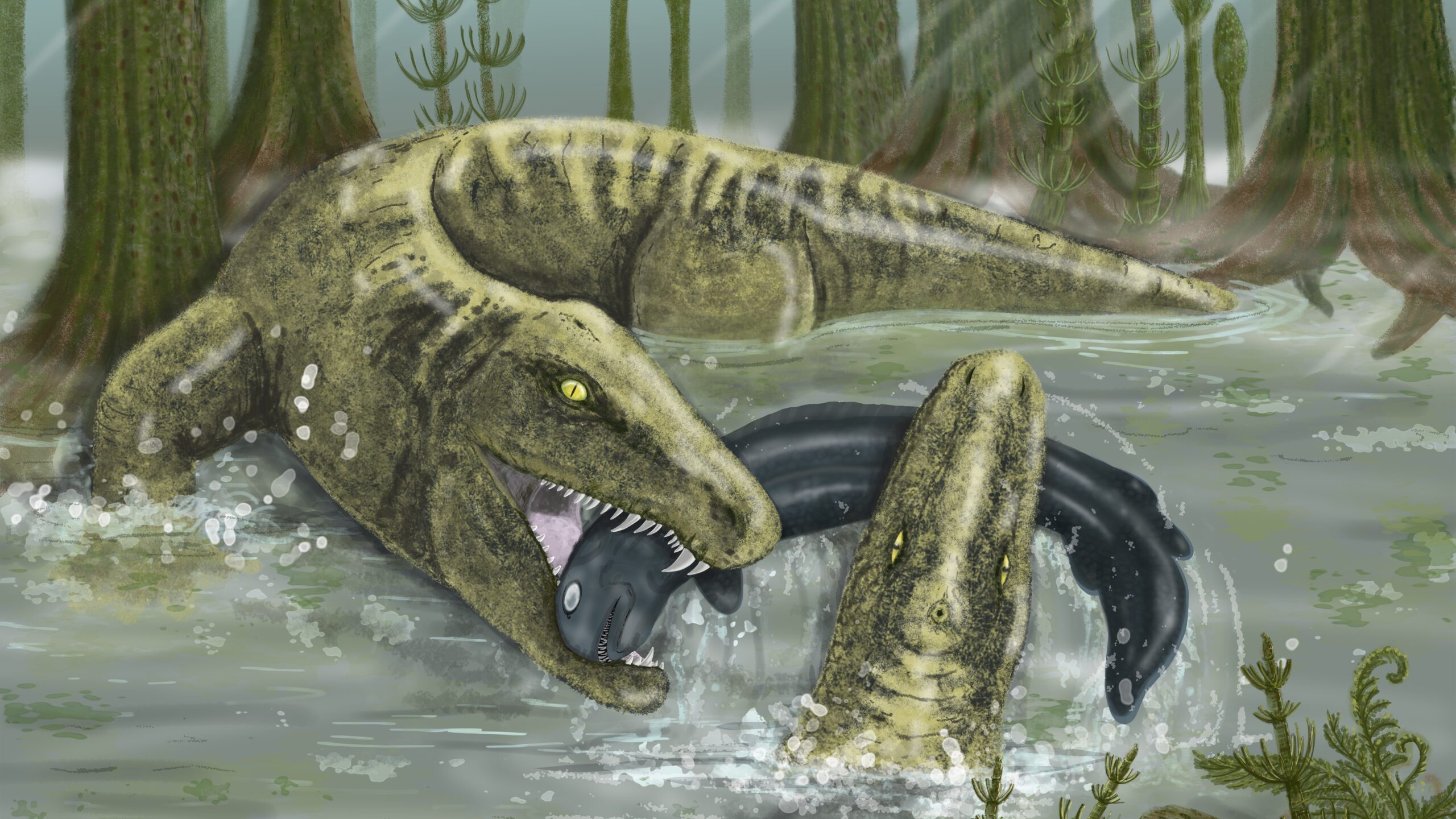 Ancient Superpredator That Lived 328 Million Years Ago Was the T Rex Of Its Time Live Science