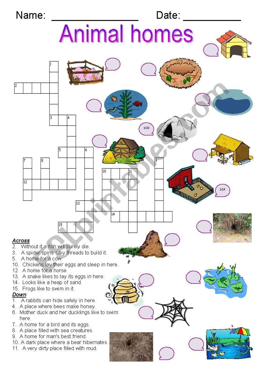 Animal Homes Crossword ESL Worksheet By Joeyb1 Animal Homes Crossword ESL Worksheet By Joeyb1