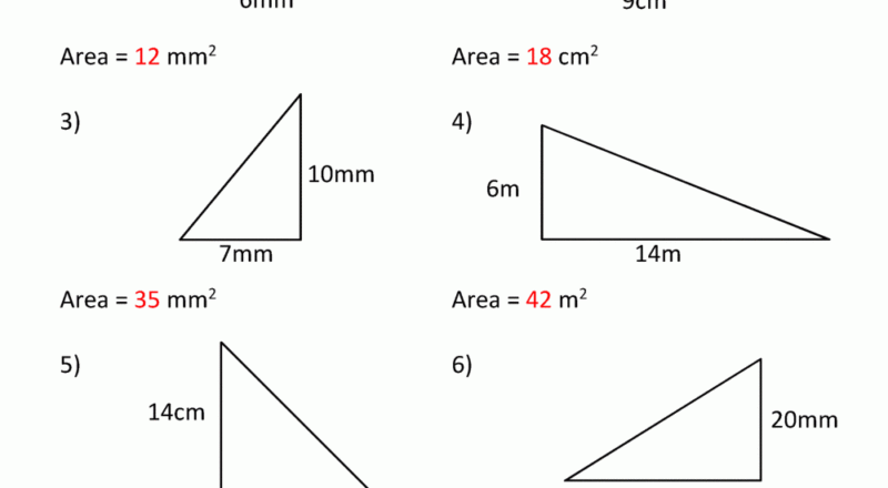 Area Of Right Triangle Worksheets