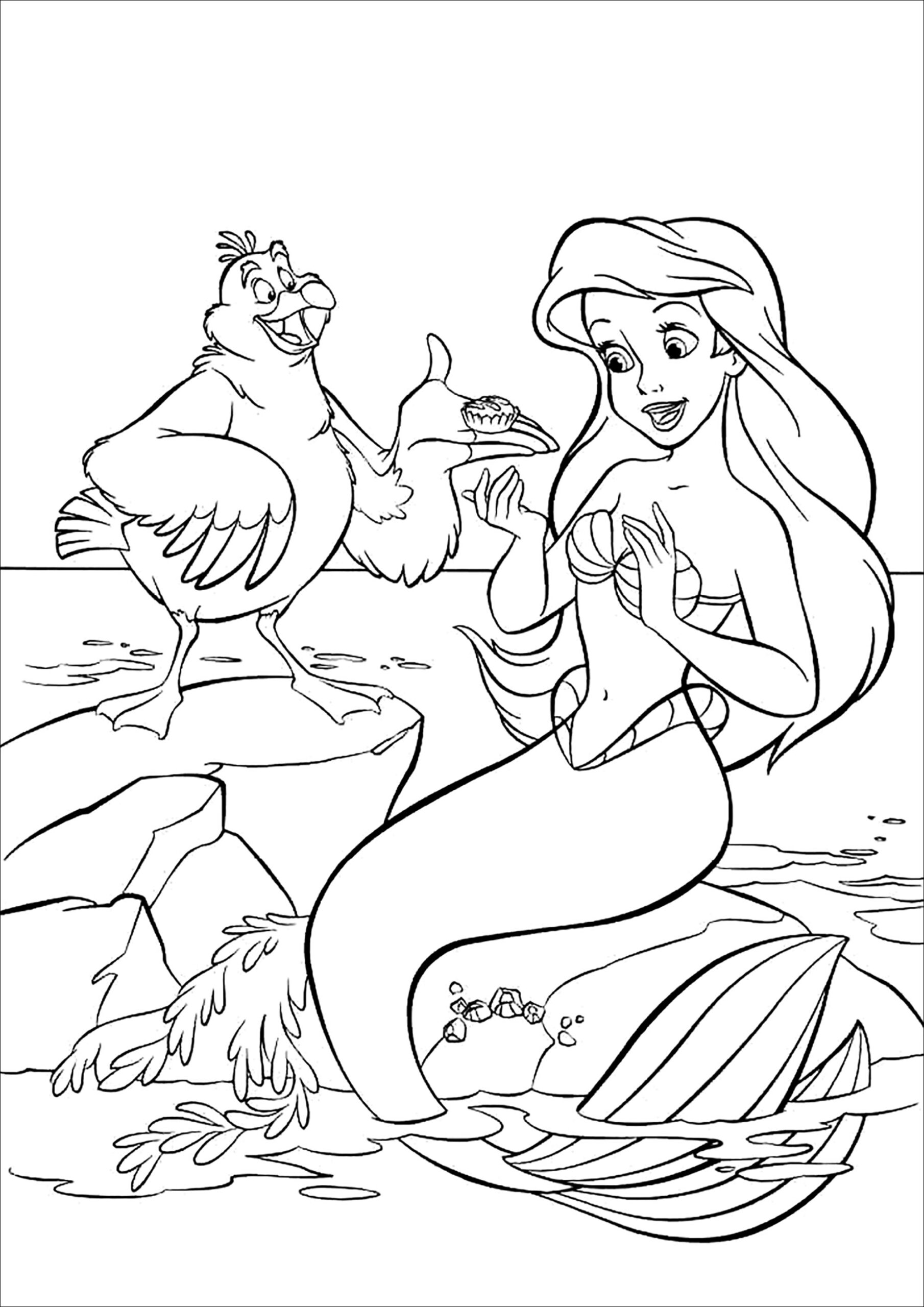 Ariel With Scuttle The Seagull The Little Mermaid Coloring Pages For Kids