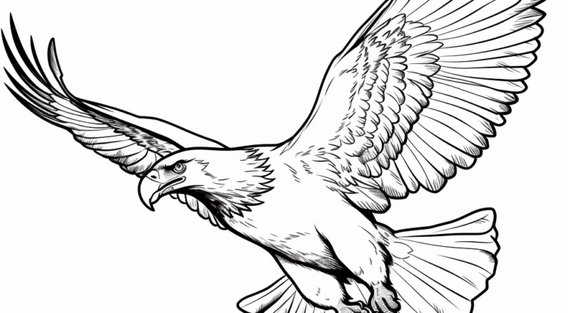 Bald Eagle Coloring Pages Free Printable
