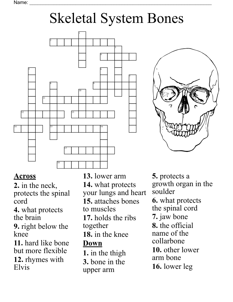 Ballet Terms Crossword WordMint