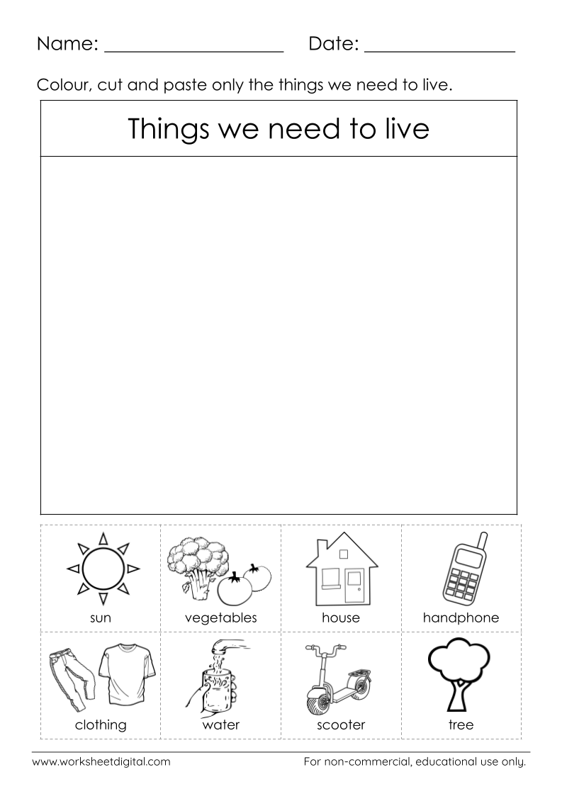 needs and wants worksheet