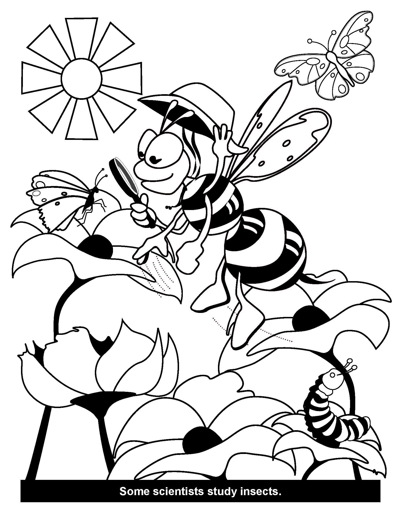 bee coloring page pdf bee coloring page pdf