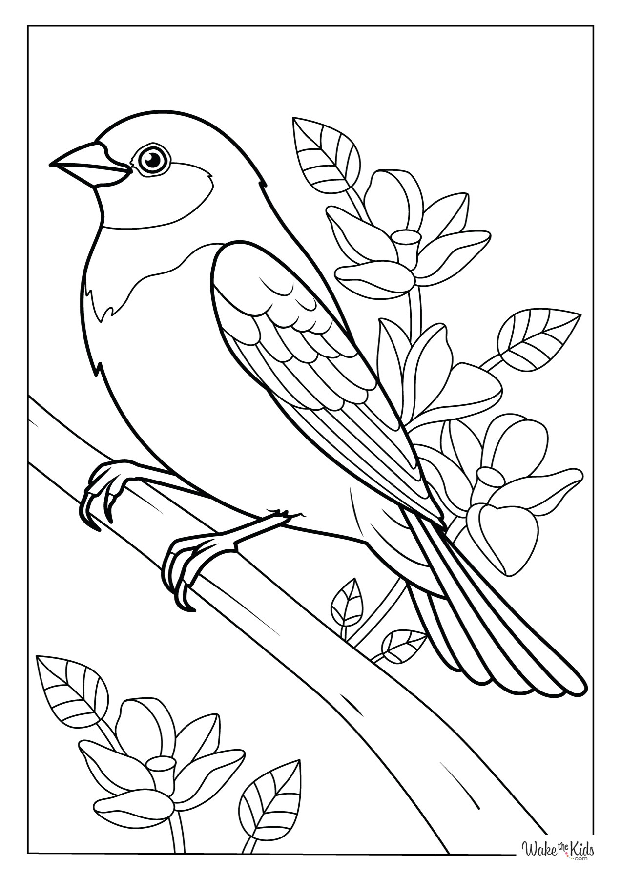 Bird Coloring Pages Free Printable PDFs WakeTheKids