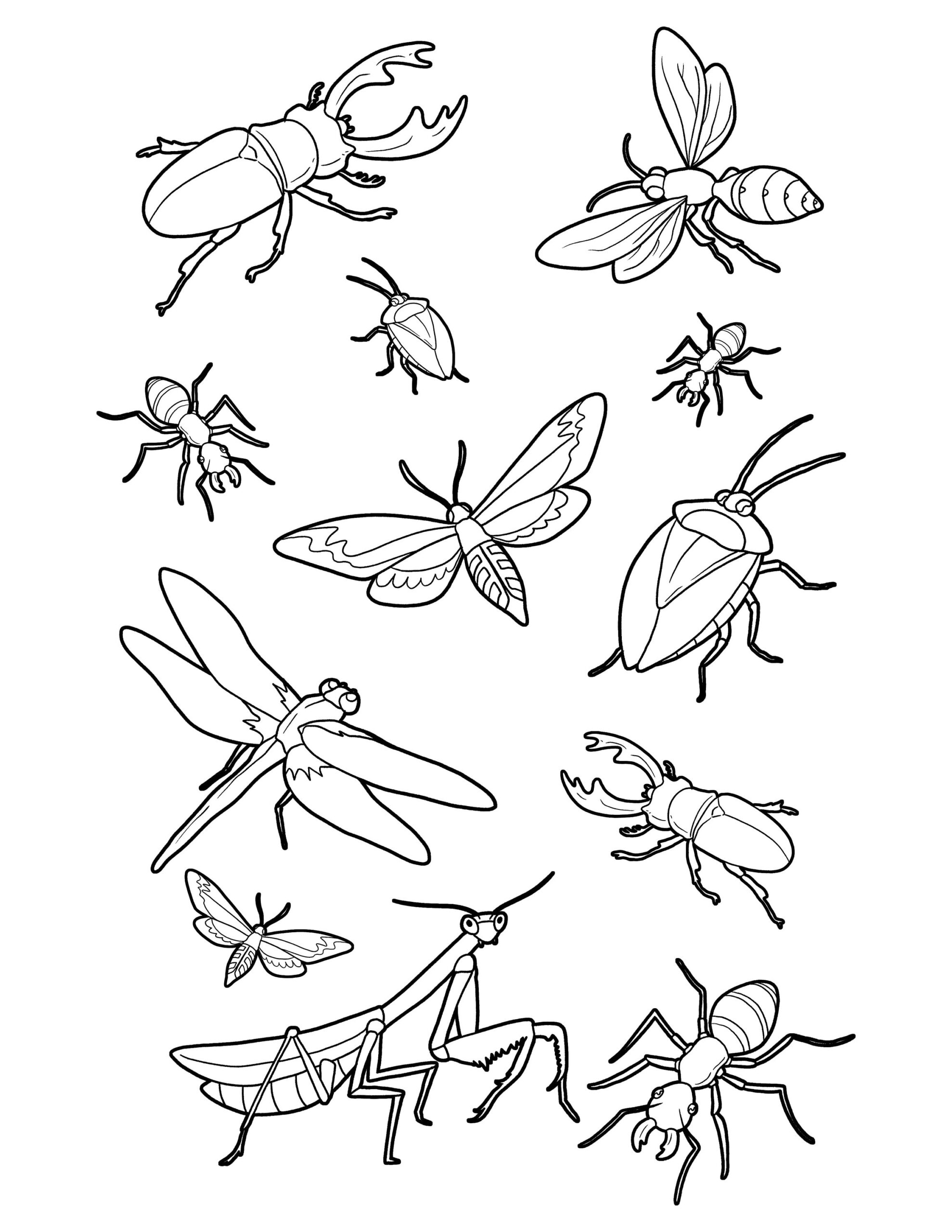 Bug Coloring Page Bugs And Insects Printable Digital Download Cute Bugs Art Activity Etsy