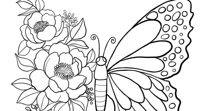Butterfly Coloring Page Floral Designs Kids Summer Activity PDF JPG Etsy