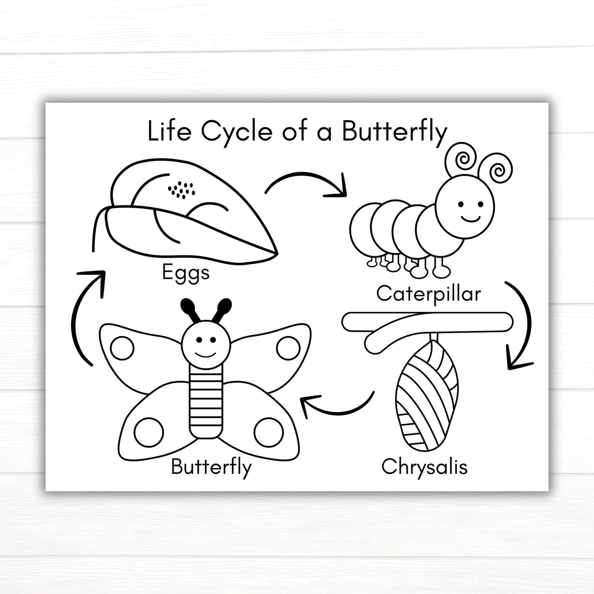 Butterfly Life Cycle Coloring Page Printable Life Cycle Of A Butterfly Activities Life Cycles Butterfly Activities Monarch Etsy