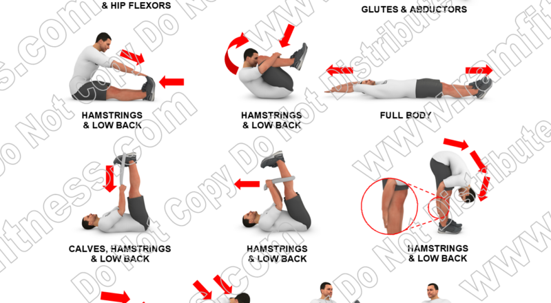 Buy Print License For Sciatica Stretching Guide Relieve Sciatic Nerve Pain With Targeted Stretches
