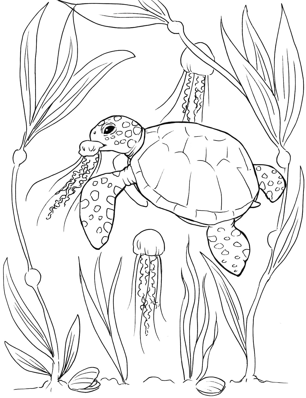 Buy Sea Turtle Coloring Pages Online In India Etsy