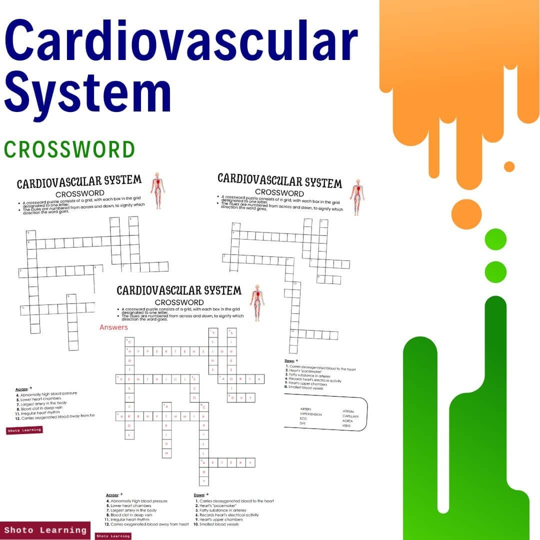 Cardiovascular System Matching Game Fun Review For Students