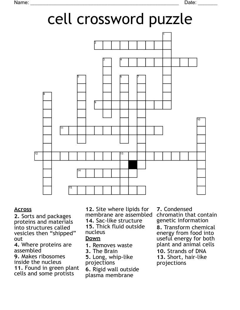 Cell Crossword Puzzle WordMint Cell Crossword Puzzle WordMint
